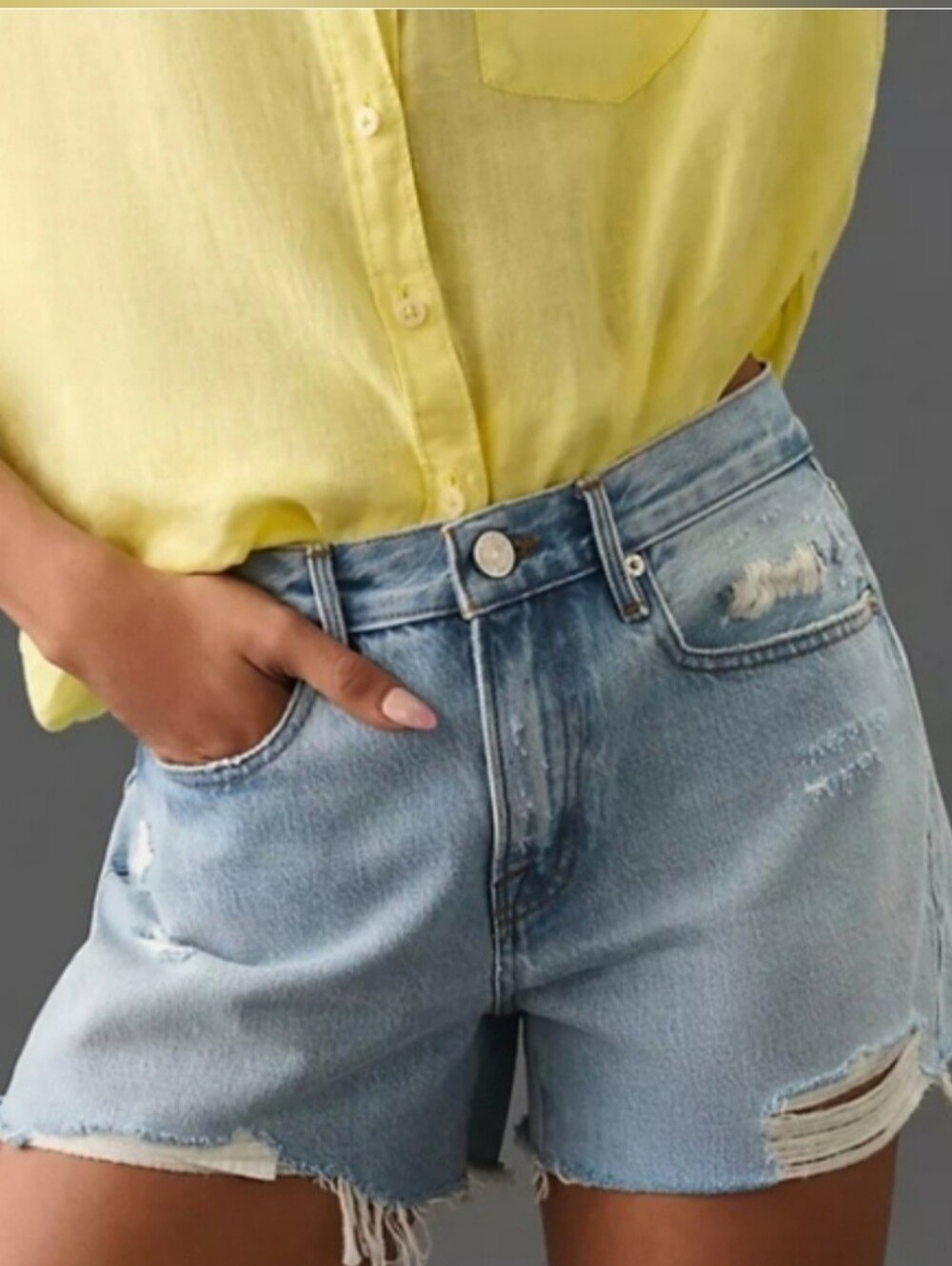 Frame Le Brigette Shorts